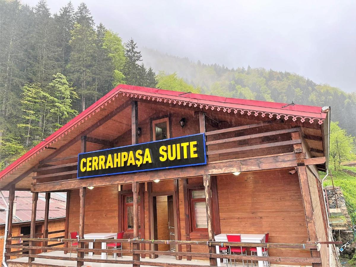 Cerrahpasa 3*